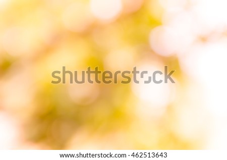 Pink and sweet bokeh out of focus background from nature forest