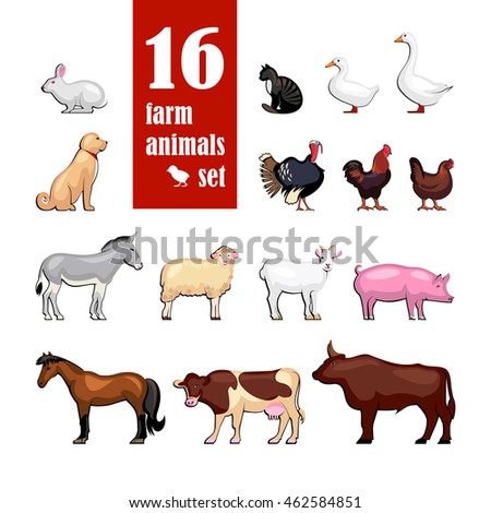 Vector Farm Animals set for domestic fauna design isolated on white background
