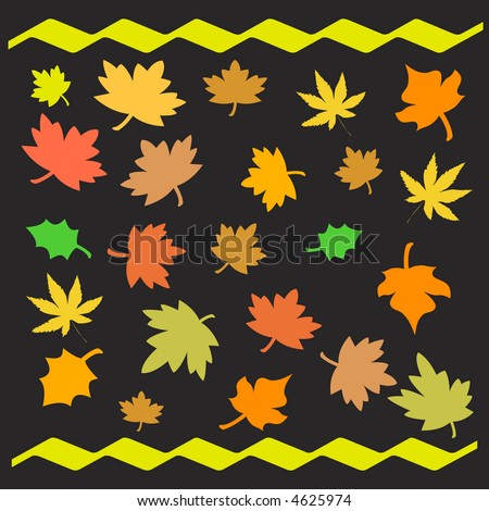 colorful autumn leaves scattered  on  black background