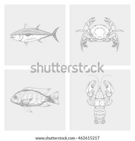 Set of different sea animals, Vector illustration