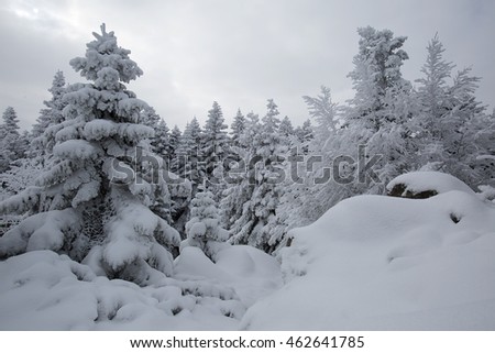 Bursa, Uludag and chalets winter images.