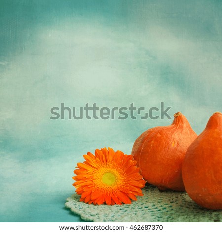 Autumn pumpkins 