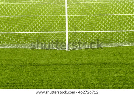 The white Net marking on the artificial green grass soccer field 