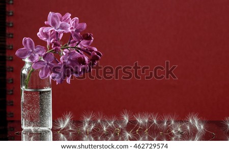macro lilac in the small vial and dandelion seeds on a red background