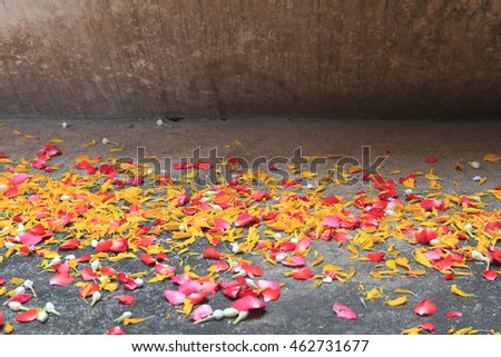 Fallen flowers on the floor