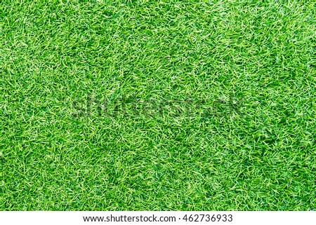artificial grass background texture.

