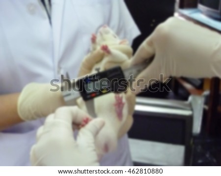 Blur picture. The research having measure on legs rat prepare surgery in laboratory.