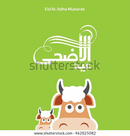 2 cow on green background eid al adha calligraphy flat card. Eid-Ul-Adha-Al-Mubarak or Eid-Ul-Azha-Al-Mubarak, Arabic Islamic calligraphy for Muslim community festival. EPS 10. Royalty-Free Stock Photo #462825082