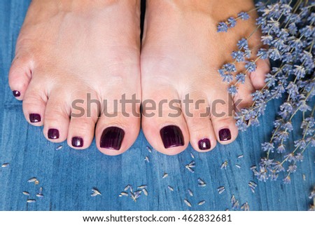 Closeup photo of a female feet with pedicure on nails and lavender. at spa salon. Legs care concept.