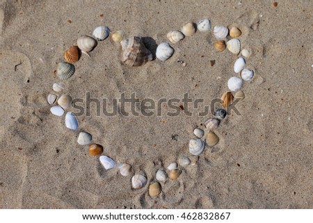 colorful seashells in the form of heart on the background of sand