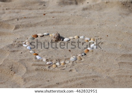 colorful seashells in the form of heart on the background of sand