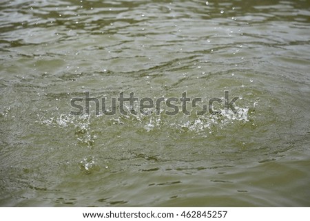 Drops of a sun shower over a lake surface