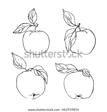 white black apples with leaves vector decorative set illustration
