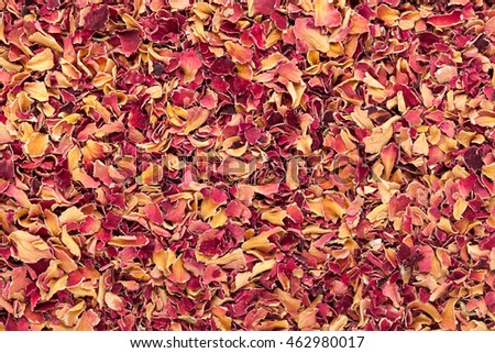 Organic dry Damask rose petals (Rosa damascena) in tea cut size. Macro close up background texture. Top view.
