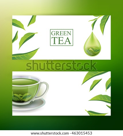 Design Banner Template. Green tea vector illustration.