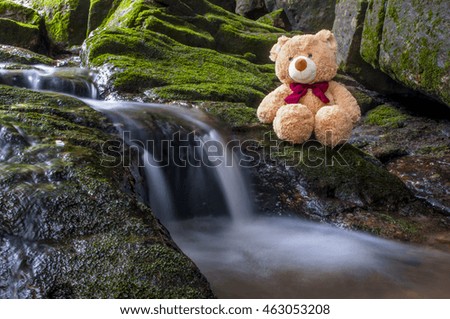 Cute teddy bear sits on the most beautiful natural waterfalls.