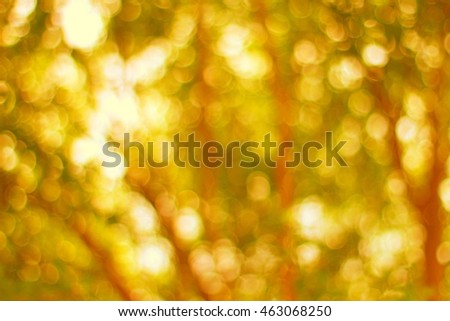 gold yellow luxury background picture abstract soft bokeh big light of tree gold color background