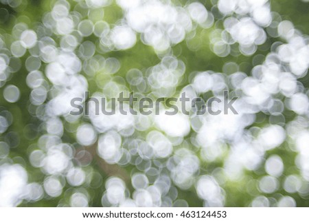 Natural bokeh from plant