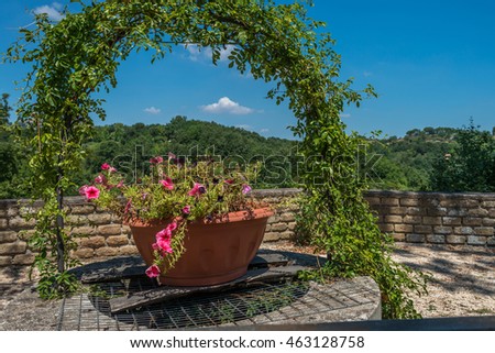 Flower pot under an arch with climbing plants, in the background green hills and a blue sky