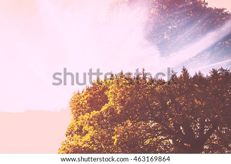 Abstract double exposure landscape scene
