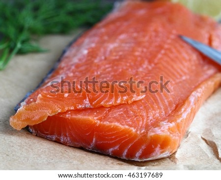 Salmon. Fresh Raw Salmon Red Fish Steak
