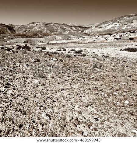  Stones of Grand Crater in Negev Desert, Israel, Vintage Style Toned Picture