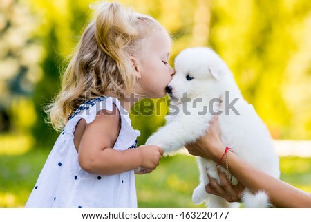 little girl kissing her puppy Samoyed breed in the park on the grass