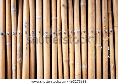 bamboo textured background