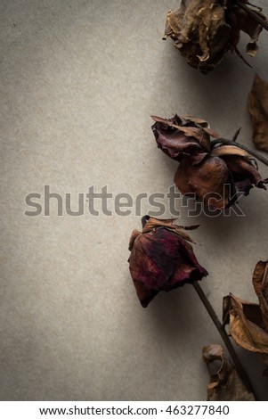 Wilted roses on paper ,concept of love 
