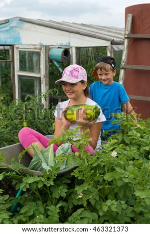 Children in the garden wheelbarrow with a crop of vegetables in the open air