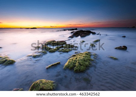 Blue hour sunset with rocks covered by green moss at Kudat Sabah Malaysia. image contain soft focus and blur due to long expose.