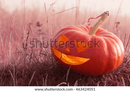 Halloween pumpkin outdoor