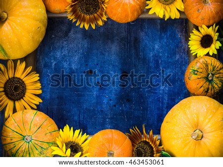 Frame of pumpkins and sunflowers on blue background. Harvest, autumn background. Copy space. Selective focus.