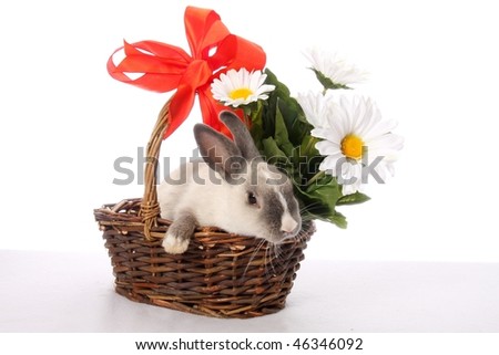 Cute bunny rabbit in a basket with flowers and bow