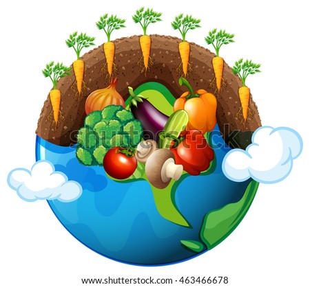 Vegetables growing around the world illustration