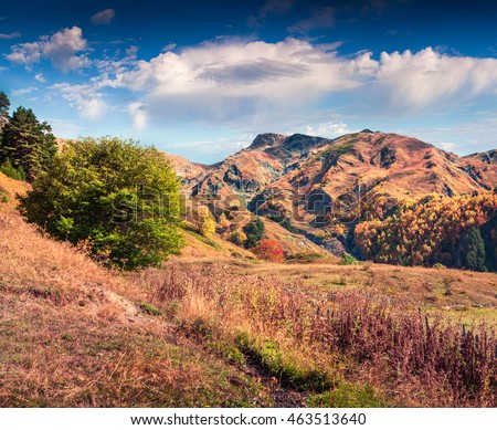 Colorful slopes of the Caucasus Mountains. Sunny autumn scene in the Upper Svaneti, Mazeri village location, Georgia, Europe. Artistic style post processed photo.