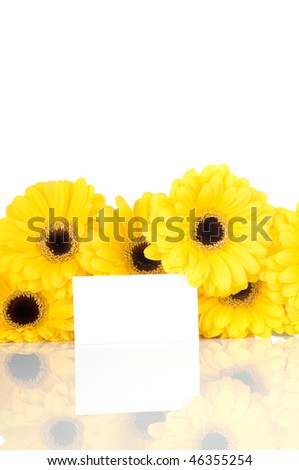 Gerbers and greeting card isolated on white background