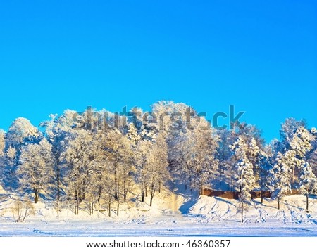 Eternal Frozen Winter