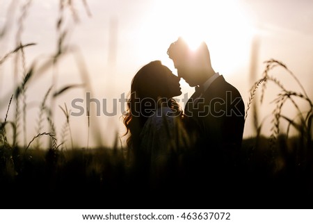 Evening sun shines over the silhouettes of wedding couple kissing in the field
