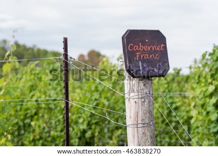 Beautiful lush green vineyard on a sunny summer day. Cabernet Franc grape vines fresh after the summer rain. Winemaking tradition. Royalty-Free Stock Photo #463838270