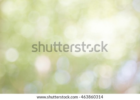 Bokeh blur leaf background. High resolution empty space concept for Banner, decoration new year 2017 card, Theme pastel color tone retro bio eco ozone csr. Abstract Healthy life growth in holy peace.