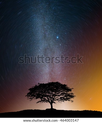  Milky way and star trail with tree on the mountains 