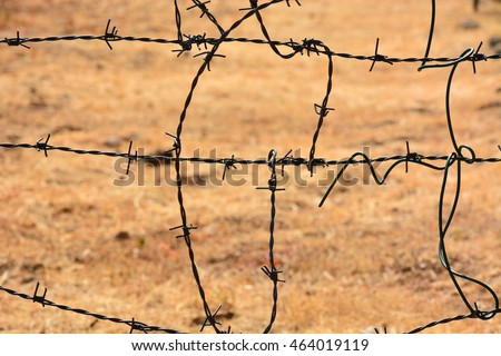 Barbed wire
