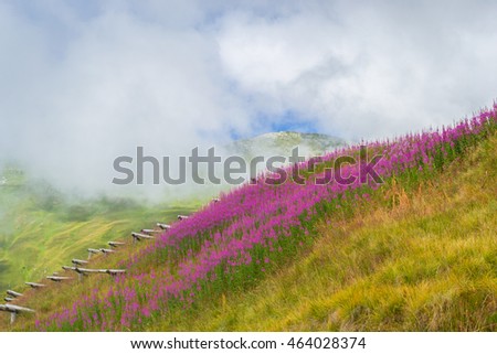 Alpine meadows in bloom. Wooden install security snow avalanche. Clouds over the mountain peaks.