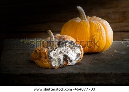 Still life, Rotten pumpkin on the old wooden table, Select focus image
