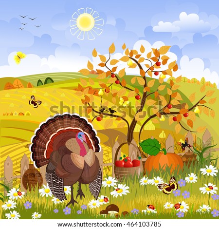lovely turkey in autumn sunny day. happy thanksgiving. rural scenery with harvest food