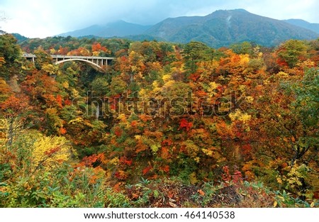 Magnificent view of a highway bridge (大深沢橋) spanning Naruko Gorge (鳴子峡) with beautiful fall colors on the vertical rocky cliffs, in Osaki, Miyagi, Tohoku, Northeastern Japan
