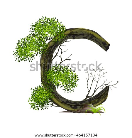 Leaves and tree font  on White background ,Eco concept,nature wood style,Green Oak