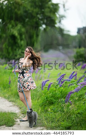 Beautiful dark-haired girl walking a cat breed Briton on a leash near the luxury field with blue lupine, summer
