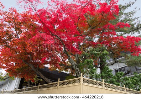 Autumn foliage at Arima Onsen in Kobe Japan